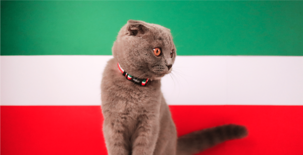 DASHI Stripes Coleira Gato Green & Red - Image 3