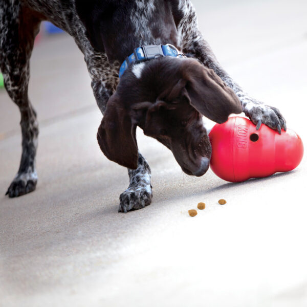 KONG Brinquedo  Wobbler - Image 6
