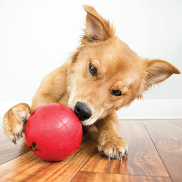 KONG Biscuit Balls - Image 2