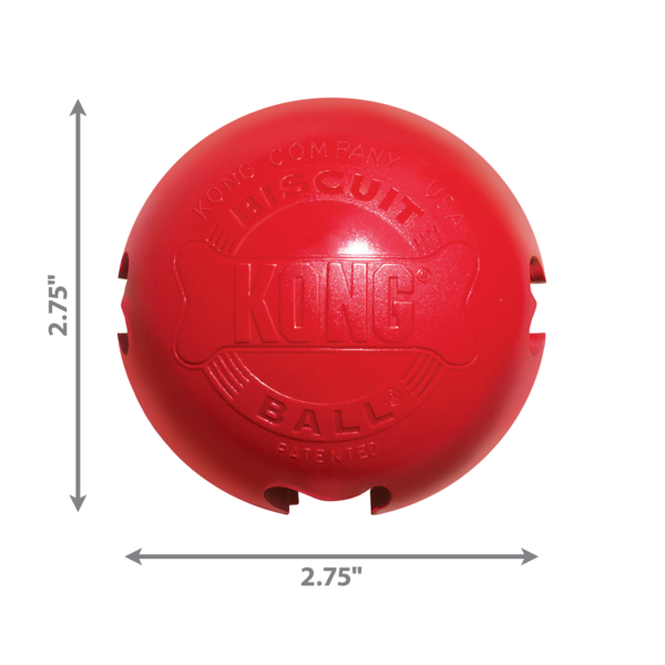 KONG Biscuit Balls - Image 3