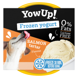 YOW UP! Frozen Yogurt Salmão