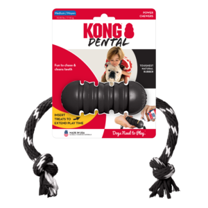 KONG Dental
