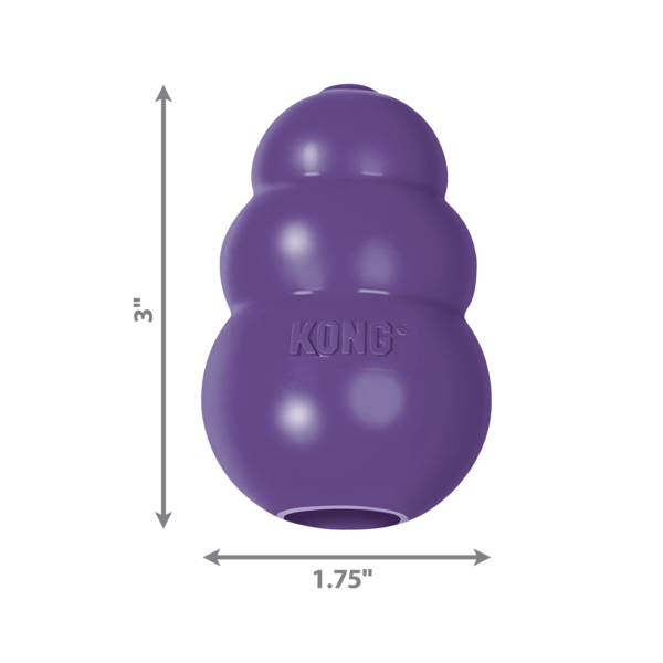 KONG Sênior - Image 4