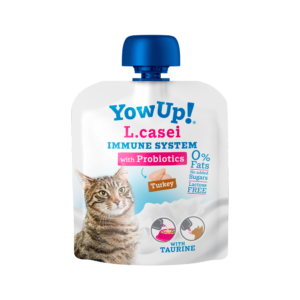 Yow UP! L. CASEI Gato