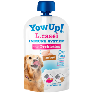 YOW UP! L.CASEI
