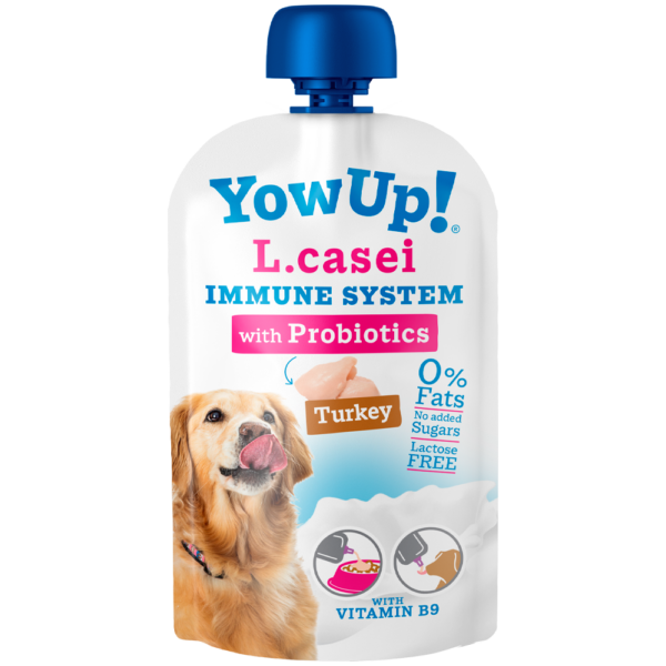 YOW UP! L.CASEI