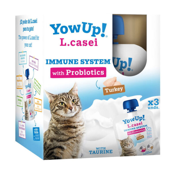 Yow UP! L. CASEI Gato - Image 2