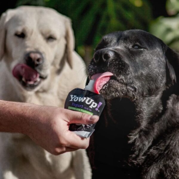 YOW UP! Yogurt Natural - Image 2