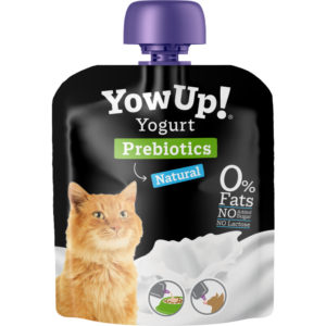 YOW UP! Yogurt NATURAL Gato