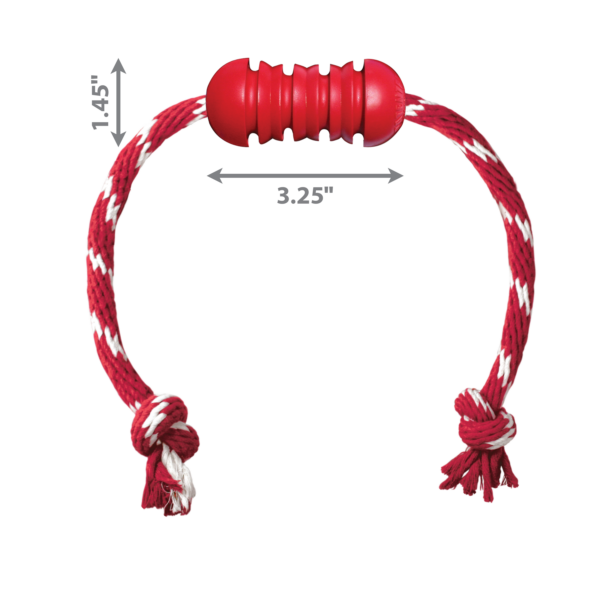 KONG Dental com corda - Image 2
