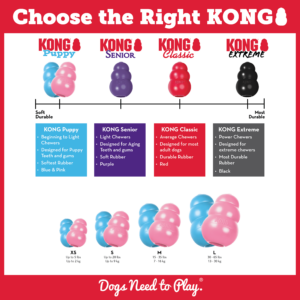 KONG Puppy (Filhote)