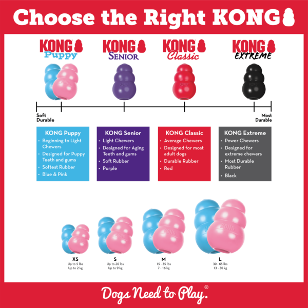 KONG Puppy (Filhote)