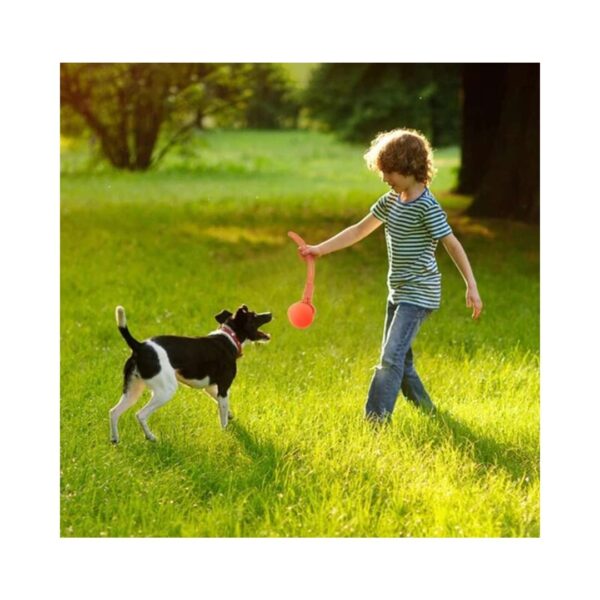 KONG Holiday Jaxx Brights Tug com bola de brinquedo - Image 4