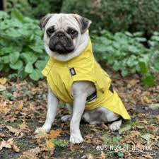 TRIXIE Capa  Vimy para cão