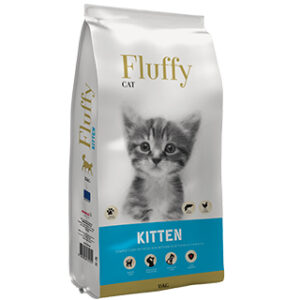 FLUFFY CAT KITTEN