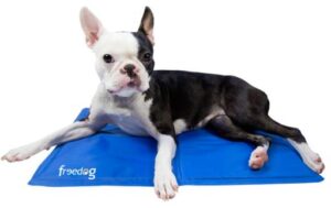 FREEDOG COOL BED ANTI-SCRATCH