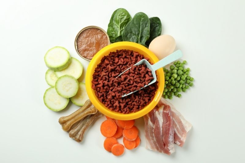 Nutrição equilibrada: o segredo para uma vida longa e saudável